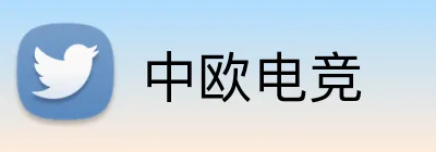 中欧电竞 logo